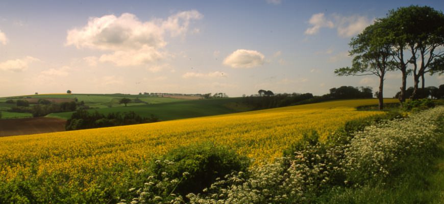 South Ormsbywolds, een van de Areas of outstanding natural beauty in het Verenigd Koninkrijk