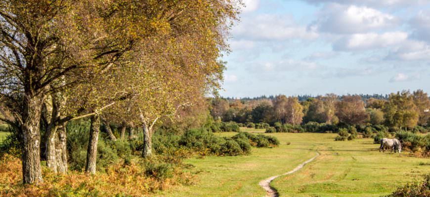 Herfstvakantie familietips in Engeland