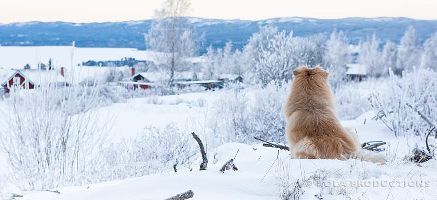 Winter Wonderland in Zweden!