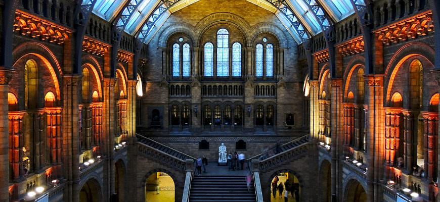Museumnacht Engeland in het Natural History Museum