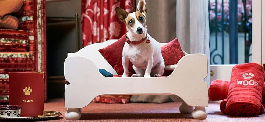 Egerton House Hotel Knightsbridge Londen hondvriendelijk