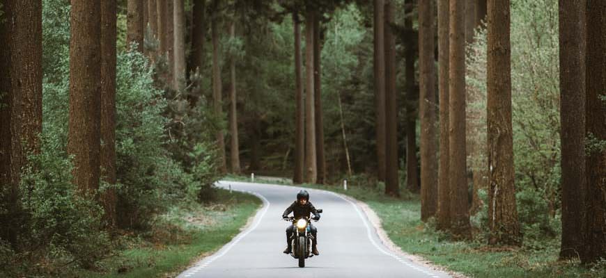 Motorrijder op weg in bos over motorroute